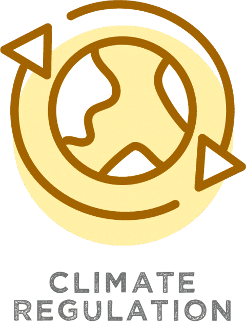 The logo for climate regulation.