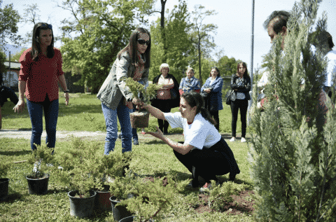 A group of people are planting trees in a park.